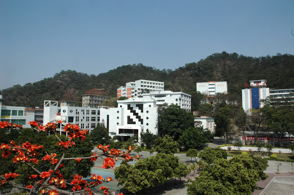 校园风光